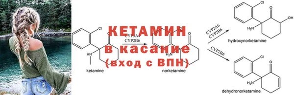 ГАЛЛЮЦИНОГЕННЫЕ ГРИБЫ Белокуриха