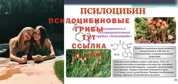 альфа пвп VHQ Лиски