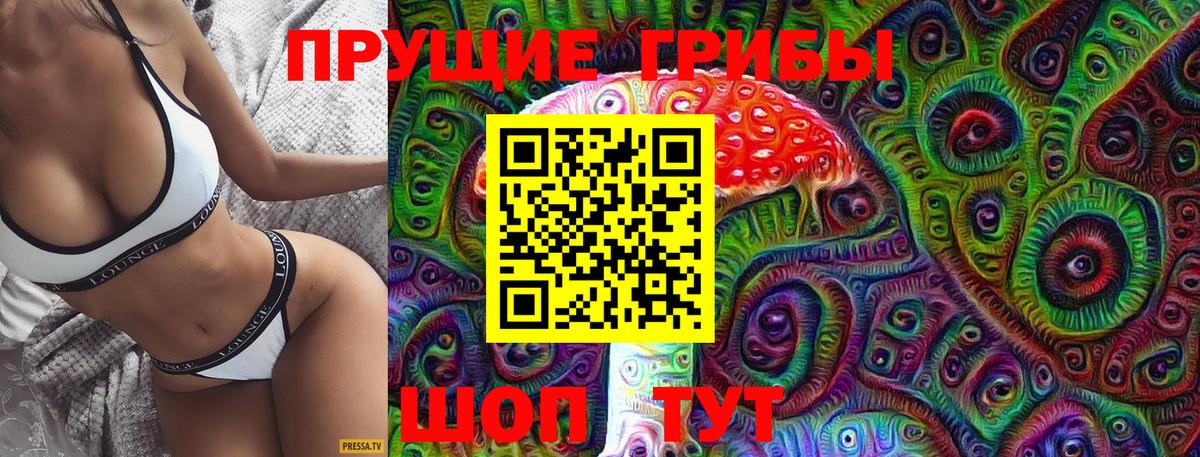 Галлюциногенные грибы Psilocybe Нефтекамск