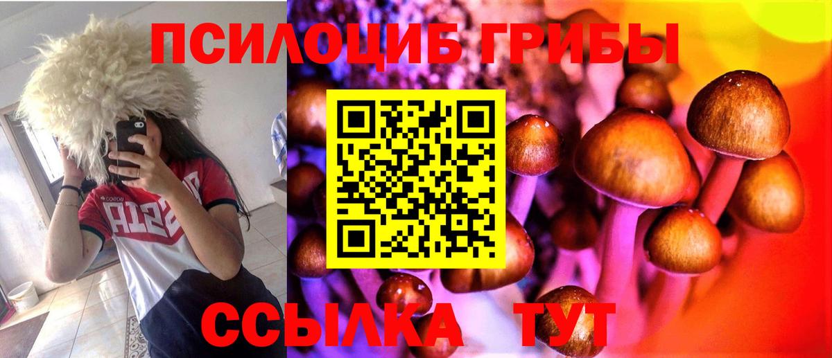 Псилоцибиновые грибы мицелий  Вход с VPN  Нефтекамск  Галлюциногенные грибы Magic Shrooms 